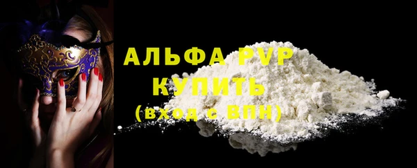 ECSTASY Белокуриха
