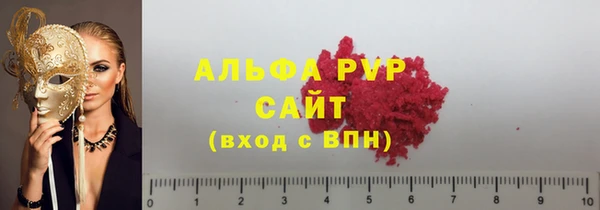 ECSTASY Белокуриха