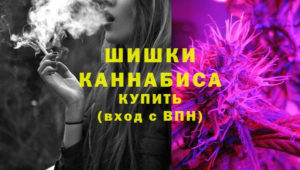 молекула духа Белоозёрский