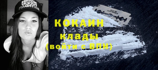 молекула духа Белоозёрский