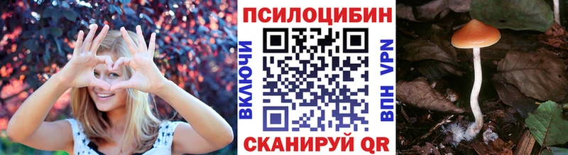 наркота  Луховицы  Псилоцибиновые грибы MAGIC MUSHROOMS 
